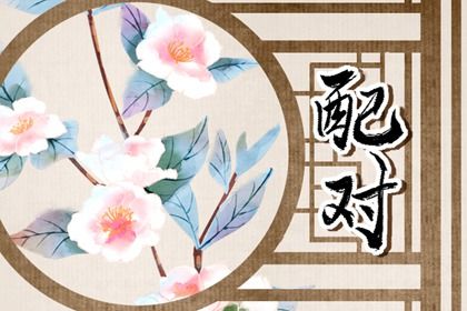 血型配对（民俗参考）