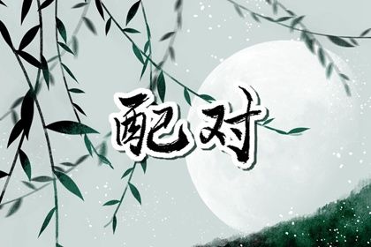 现代婚恋中的合婚角色